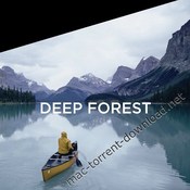Phaseone latitude deep forest for capture one pro icon