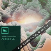 Adobe audition cc 2018 icon