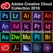 Adobe creative cloud collection 2016 31 10 16 2 icon