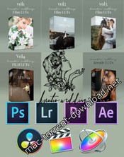 Kreativ wedding luts collection icon
