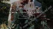 White in revery timbre luts professional color grading luts icon