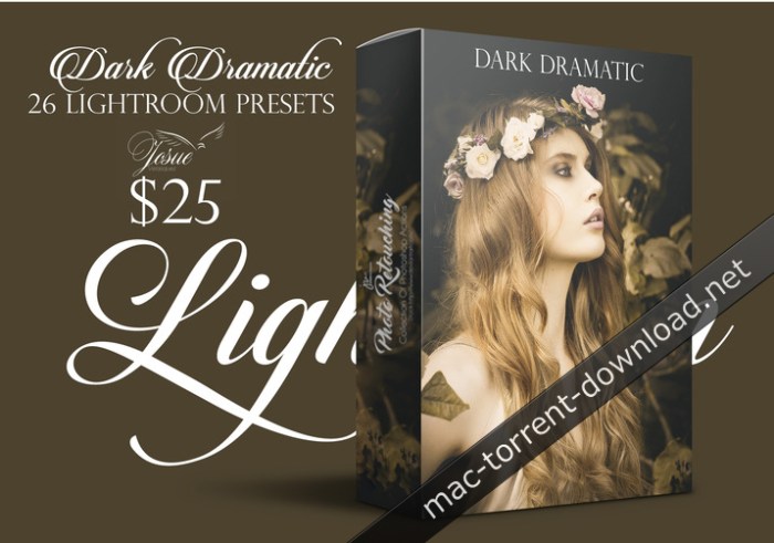 dark_dramatic_lightroom_presets