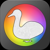 Automatic duck xsend motion icon