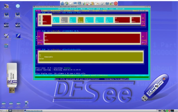 dfsee_151_win_lnx_macos_dos_plus_portable_plus_iso
