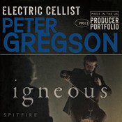 Spitfire audio pp013 igneous electric cello icon
