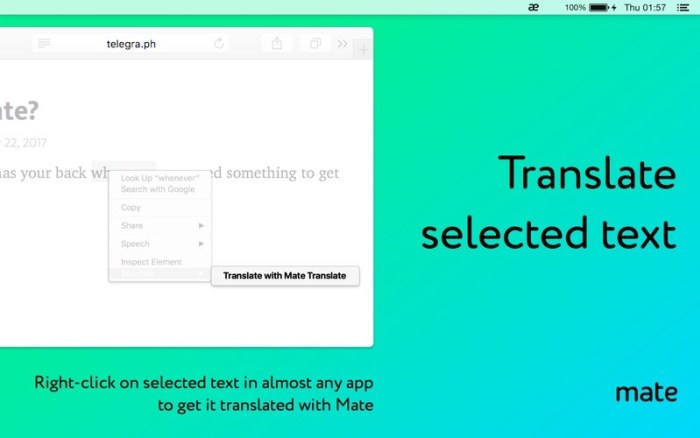 3_Mate_Translate_–_translator.jpg