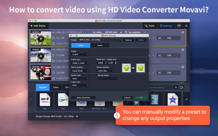 3_HD_Video_Converter_Movavi.jpg