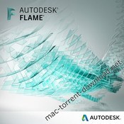 Autodesk flame 2020 icon