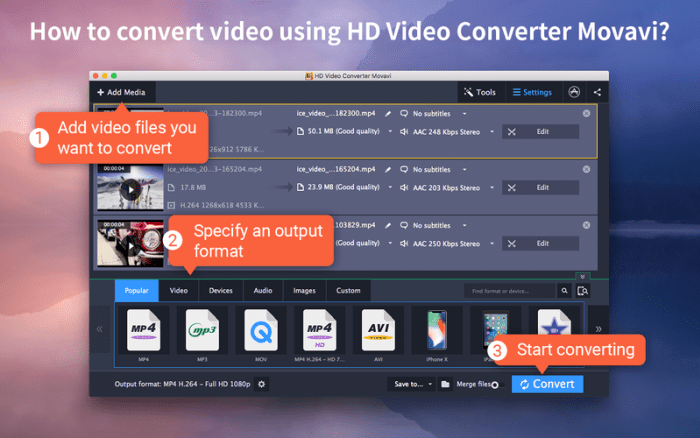 1_HD_Video_Converter_Movavi.jpg