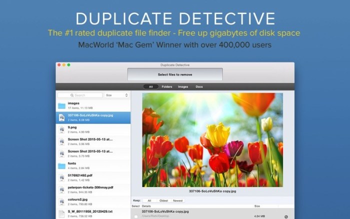 1_Duplicate_Detective_Cleaner.jpg