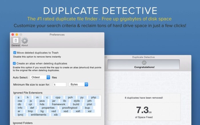 4_Duplicate_Detective_Cleaner.jpg
