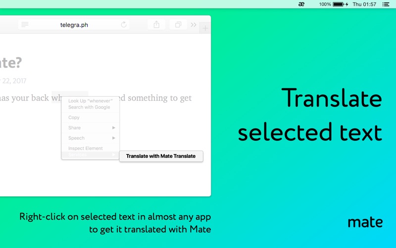 Mate Translate 6.0.7