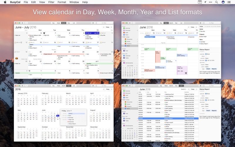 5_BusyCal_Calendar_Reminders.jpg