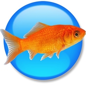Goldfish 3 Professional Edition icon