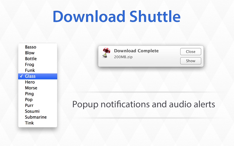 4_Download_Shuttle_Fast_File_Downloader.jpg