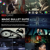 Red Giant Magic Bullet Suite 12 logo icon