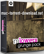Motionvfx mlowers grunge pack icon