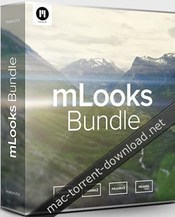 Motionvfx mlooks bundle for fcpx and adobe premiere pro icon