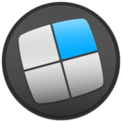 Mosaic professional level window management icon