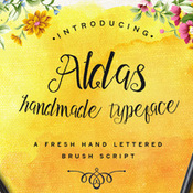 Creativemarket Aldas Typeface and Illustration Pack 196742 icon
