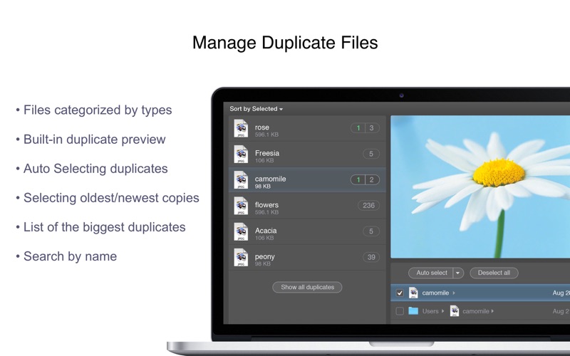 Duplicate File Remover PRO Screenshot 2