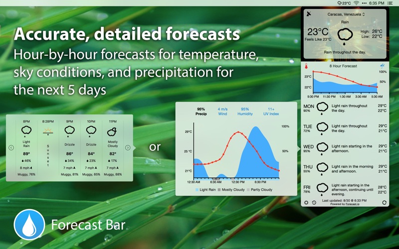 4_Forecast_Bar_Weather_Radar_and_Alerts.jpg