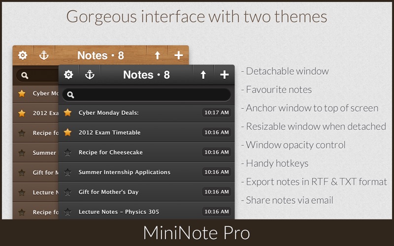 MiniNote Pro Screenshot 2