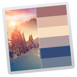 Color palette from image icon