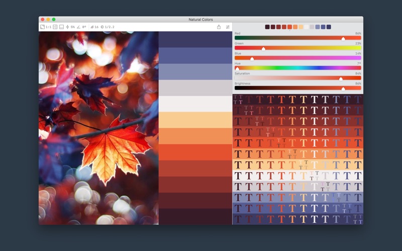 Color Palette from Image Screenshot 1