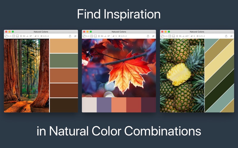 Color Palette from Image Screenshot 2