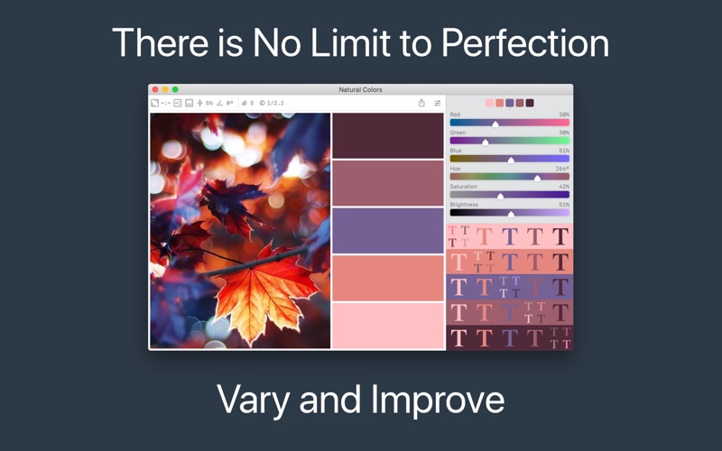 Color Palette from Image Screenshot 3