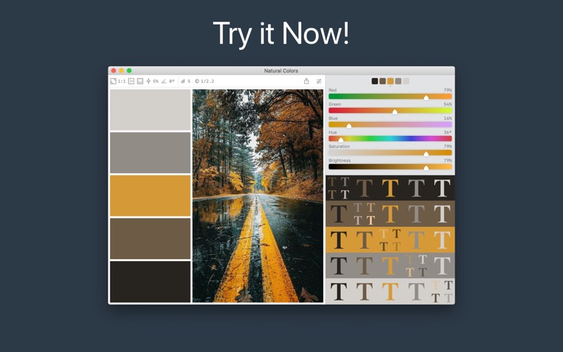 Color Palette from Image Screenshot 5