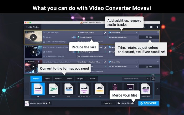 Video Converter Movavi Screenshot 01 bj1ryky