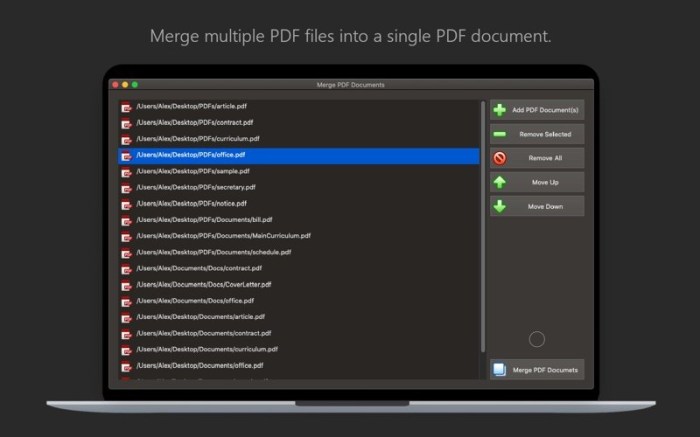 PDF Plus - Merge & Split PDFs Screenshot 01 bnbmwmy