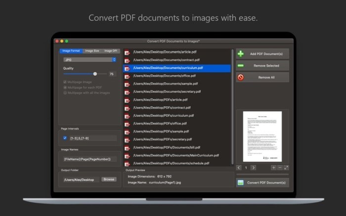 PDF Plus - Merge & Split PDFs Screenshot 05 bnbmwmy