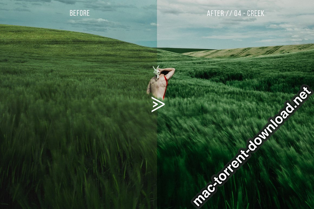 Grassland 3D LUTs for Photoshop AE Premiere Resolve and FCP X Win macOS Screenshot 05 1geqkyln