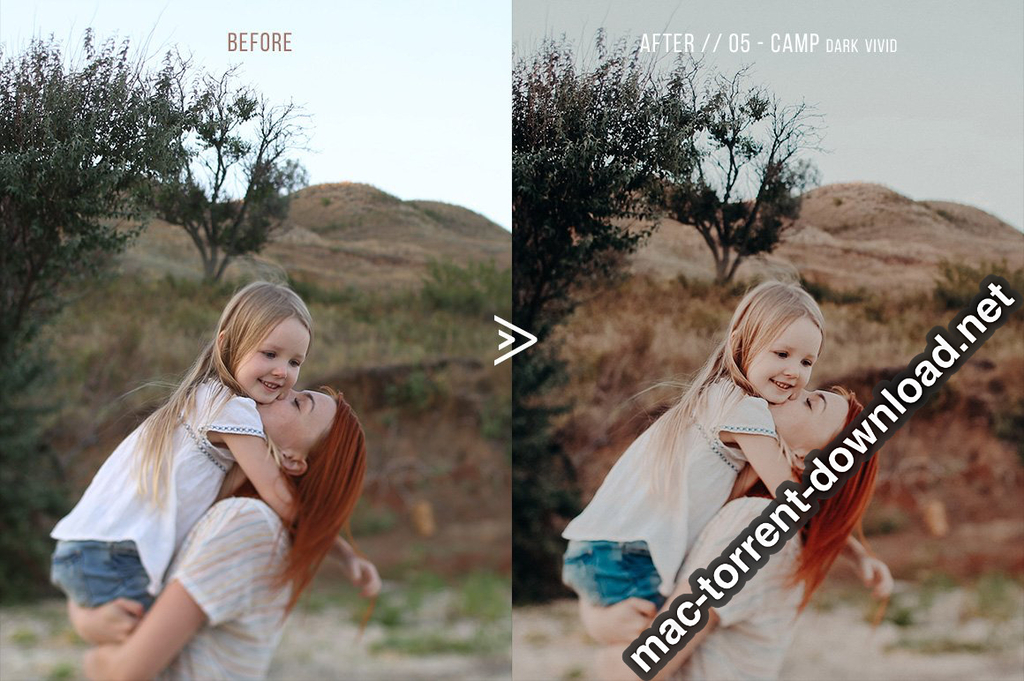 Grassland 3D LUTs for Photoshop AE Premiere Resolve and FCP X Win macOS Screenshot 06 1geqkyln