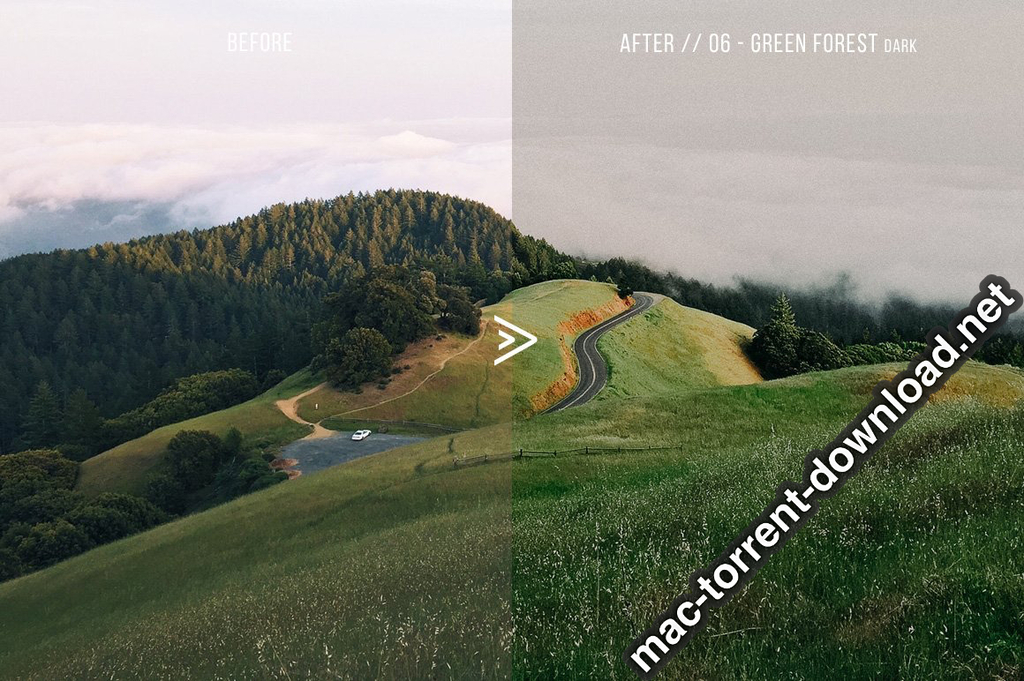 Grassland 3D LUTs for Photoshop AE Premiere Resolve and FCP X Win macOS Screenshot 07 1geqkyln