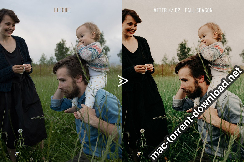 Grassland 3D LUTs for Photoshop AE Premiere Resolve and FCP X Win macOS Screenshot 11 1geqkyln