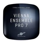 Vienna Ensemble Pro